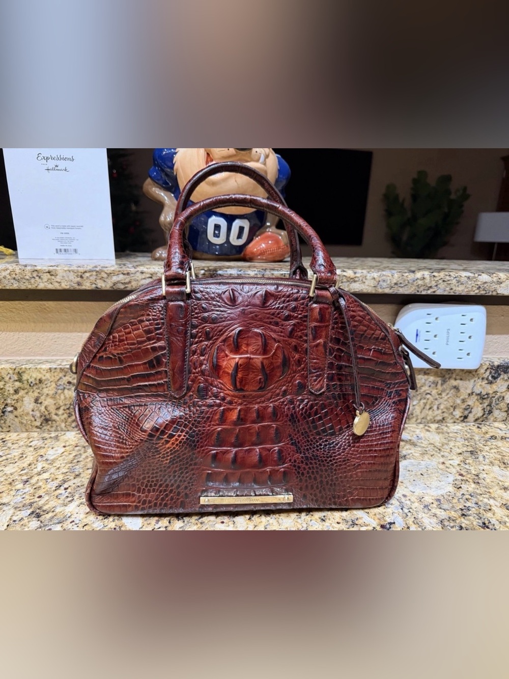 Brahmin Bag Womens Brown Alligator Leather Tote Zip Pockets Handbag
